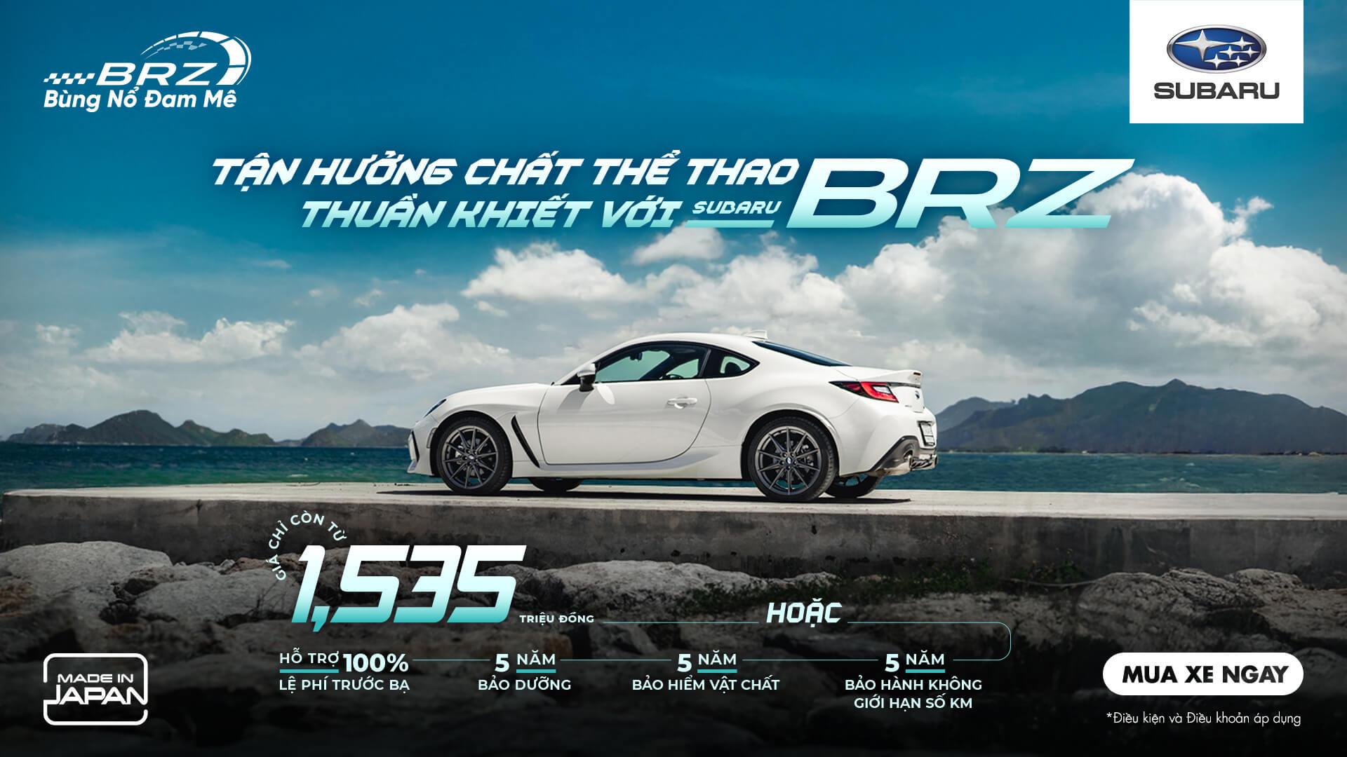 Promotion Banner