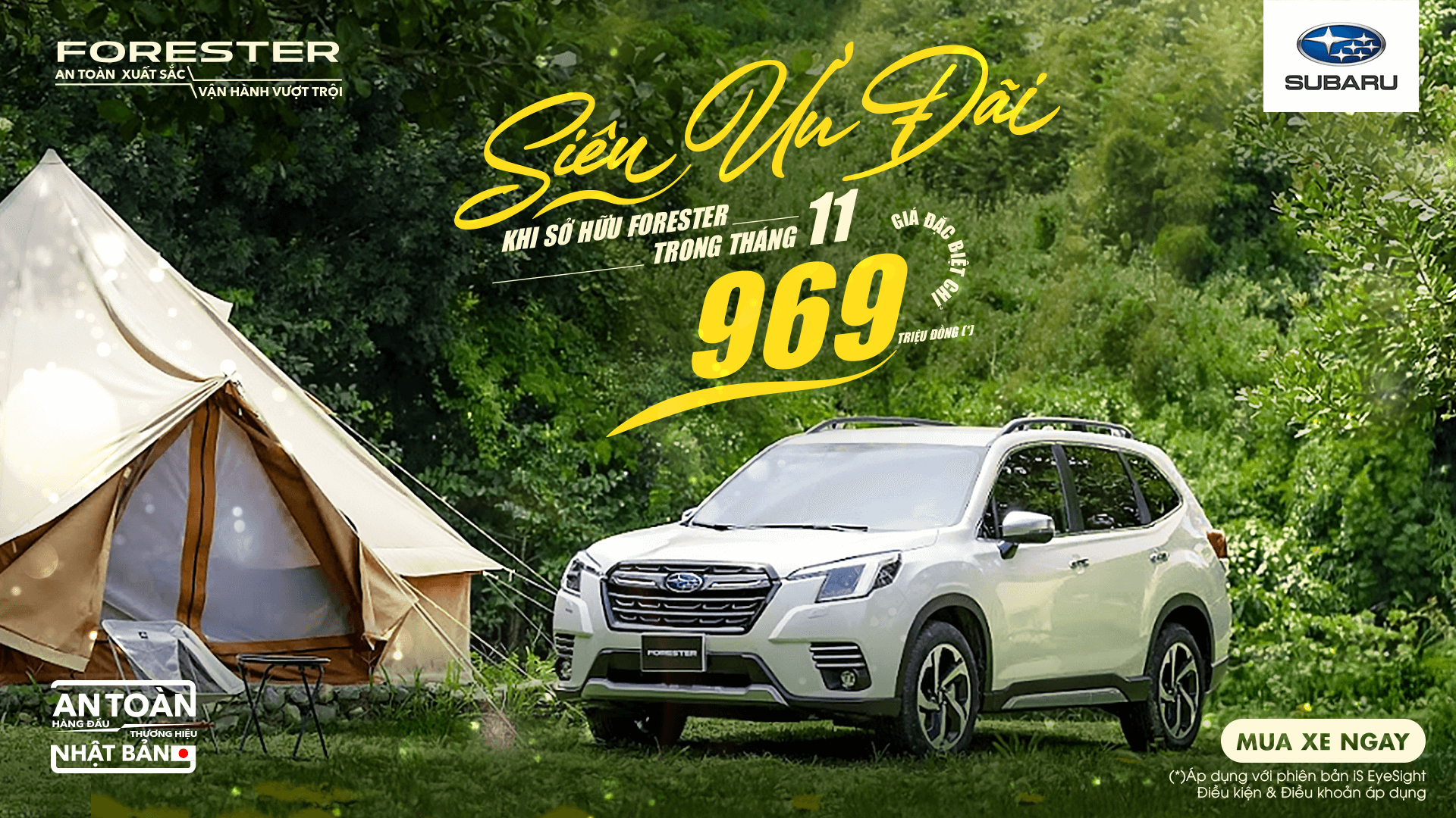 Promotion Banner
